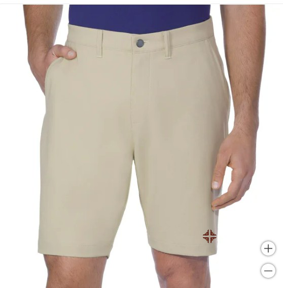 Shorts: Men's Tan