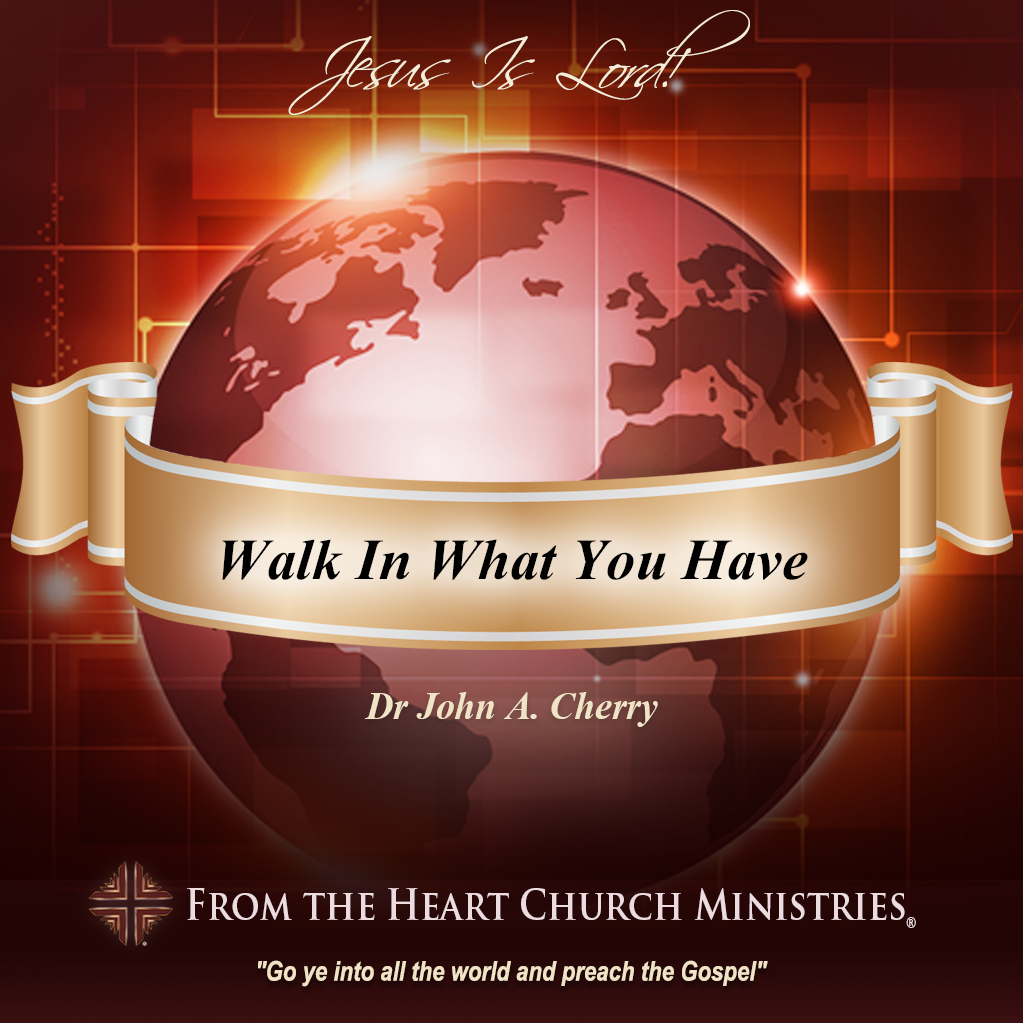 Walk In What You Have