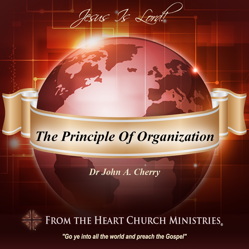 The Principle Of Organization